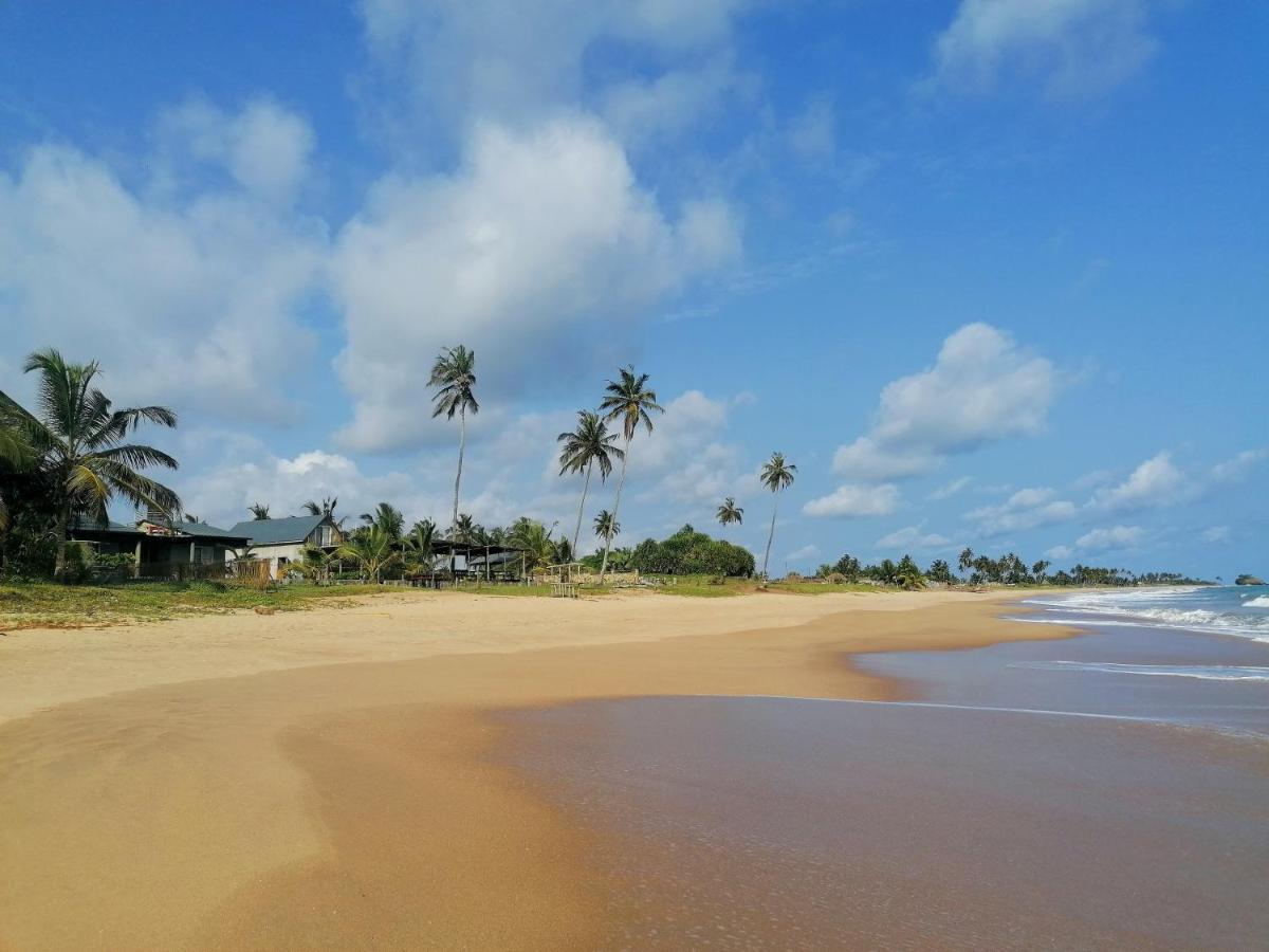 Afro Beach Eco Resort Butre Exteriér fotografie