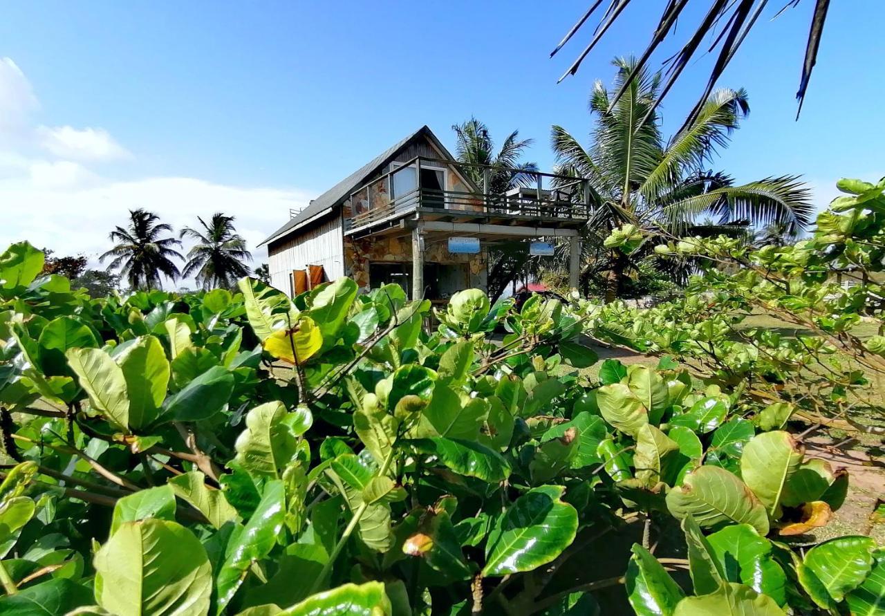 Afro Beach Eco Resort Butre Exteriér fotografie