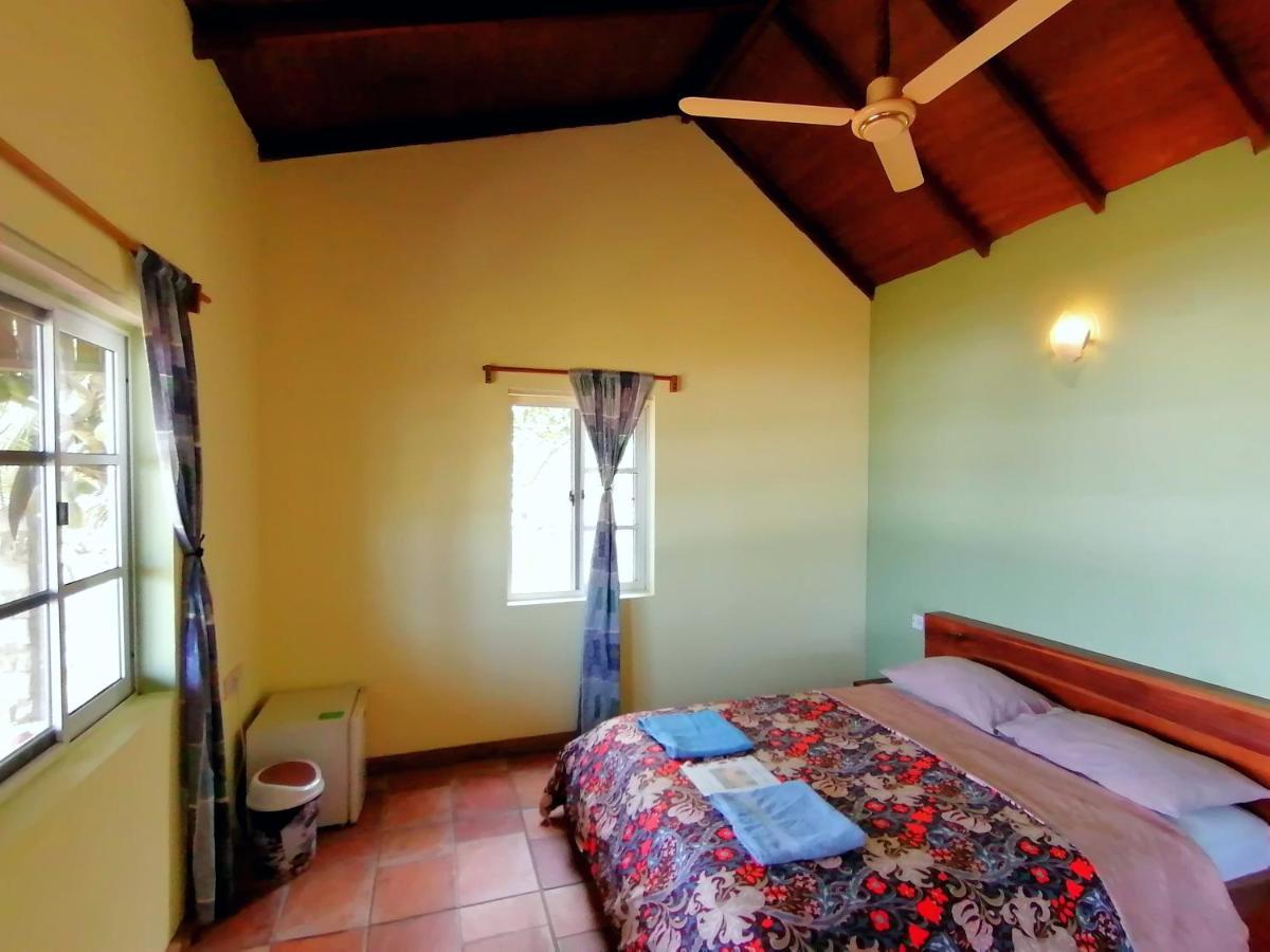 Afro Beach Eco Resort Butre Exteriér fotografie