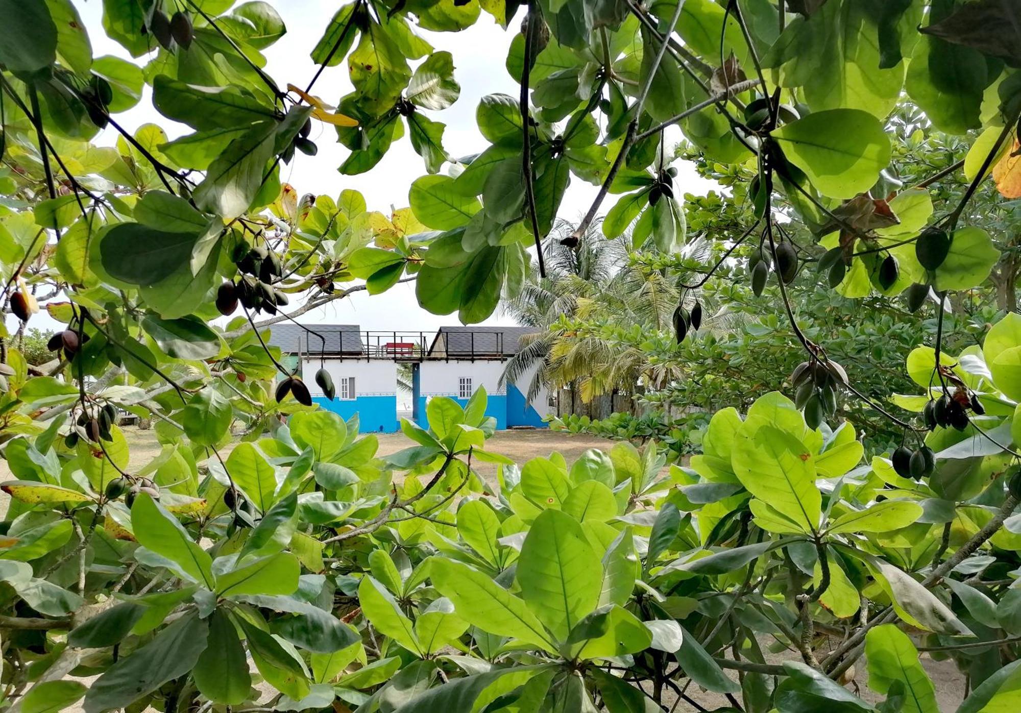 Afro Beach Eco Resort Butre Pokoj fotografie
