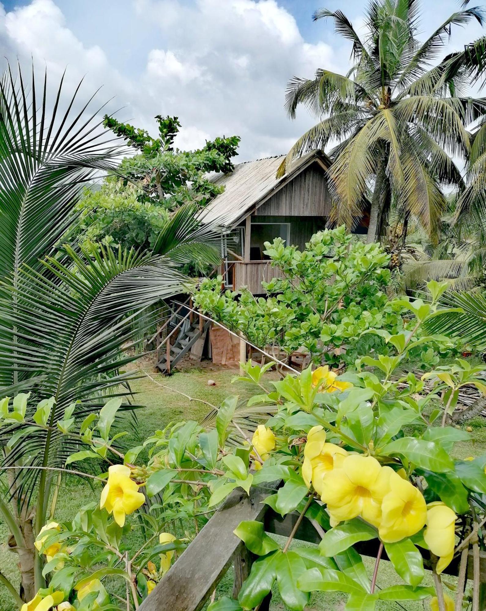 Afro Beach Eco Resort Butre Pokoj fotografie