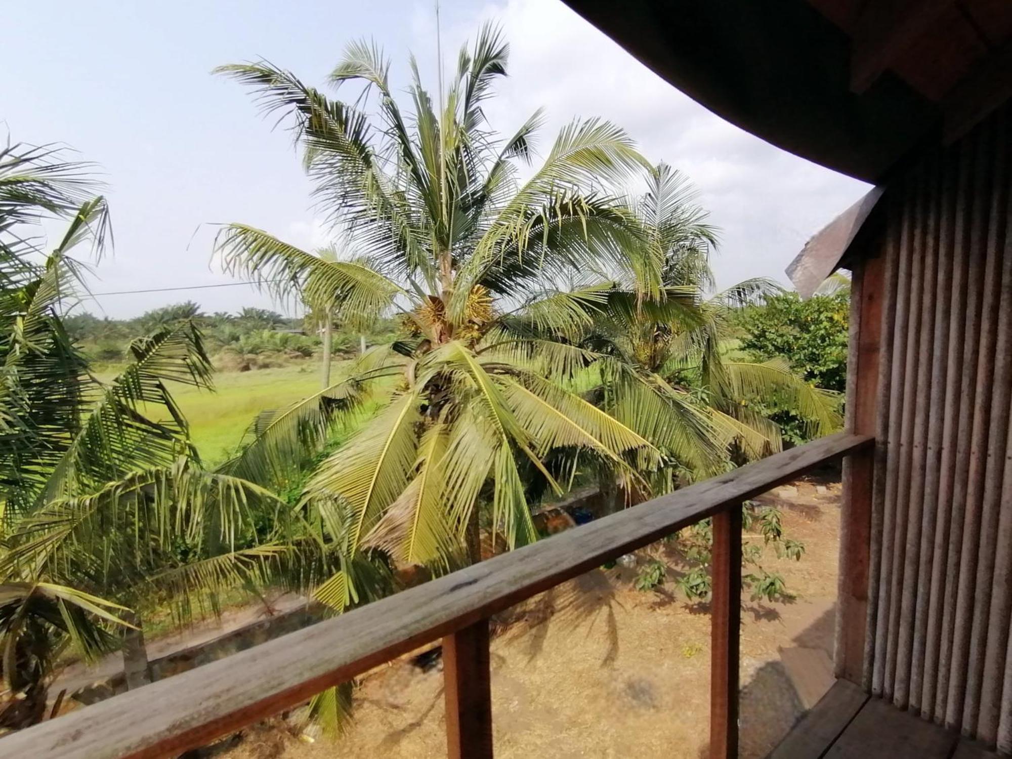 Afro Beach Eco Resort Butre Pokoj fotografie